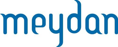 Developer logo 8